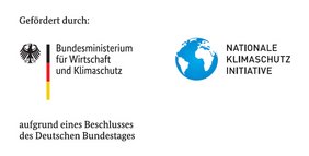 Logos des Bundesministeriums des Innern und für Heimat sowie des Goethe-Instituts mit dem Hinweis Im Auftrag des